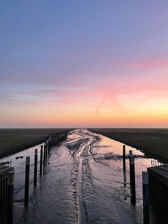 Ferienwohnung „Deichgefluester“ Nahe Der Nordsee Marne Exterior photo